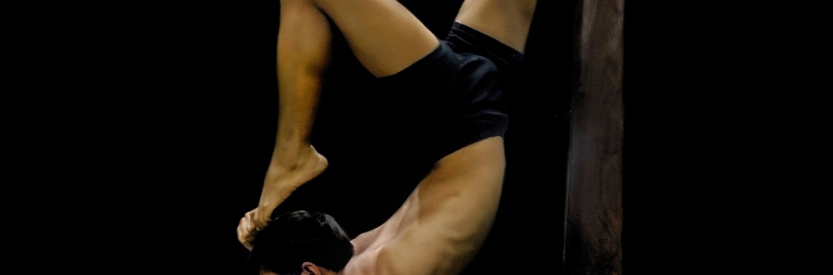 Pole mallakhamb - Circus Acts - CircusTalk