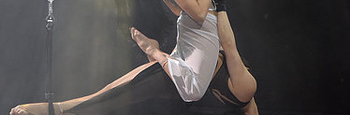 The  Body Trapeze - Performing Arts Acts - StageLync