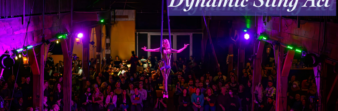 The ghost of Scheherazade - Dynamic Sling Act - Performing Arts Acts - StageLync