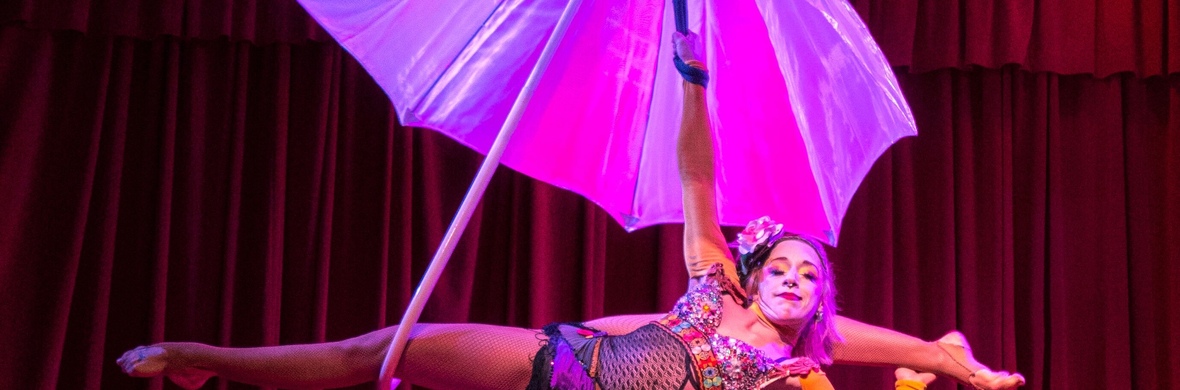 Aerial Umbrella - Performing Arts Acts - StageLync