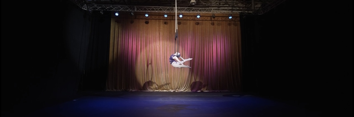 &quot;Skyfall&quot; Singing aerial hoop act  - Performing Arts Acts - StageLync