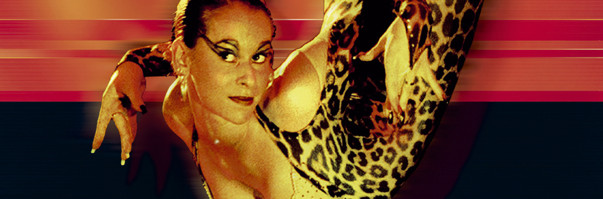 Aurelia Cats - Performing Arts Acts - StageLync