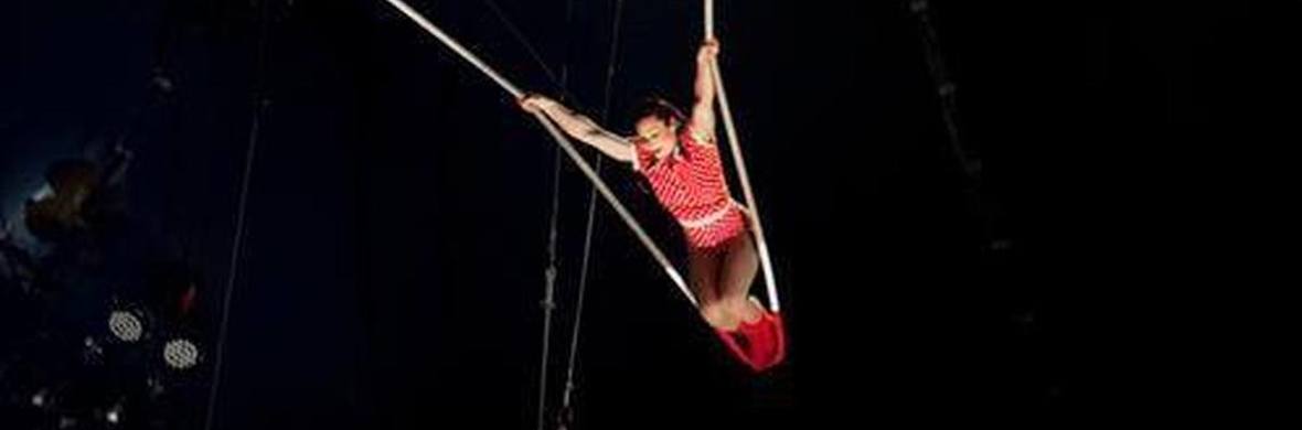 Cloud Swing - Performing Arts Acts - StageLync