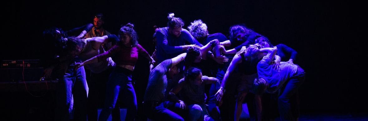 DIVE IN  - Performing Arts Shows - StageLync