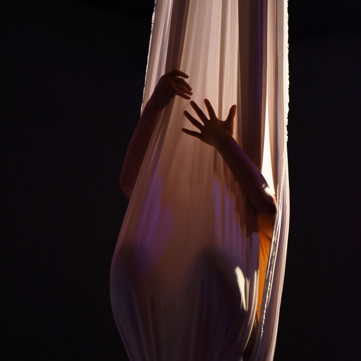 Eclipse - Performing Arts Events - StageLync