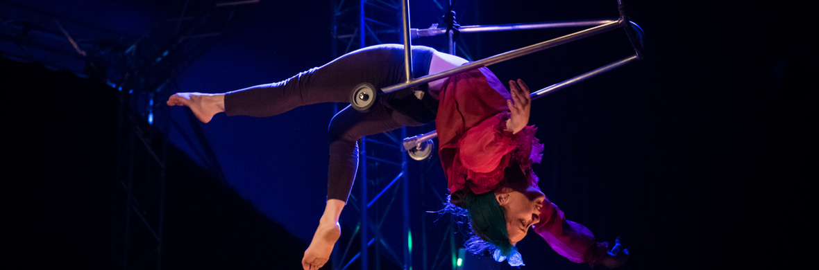 Hogwallops - Performing Arts Shows - StageLync