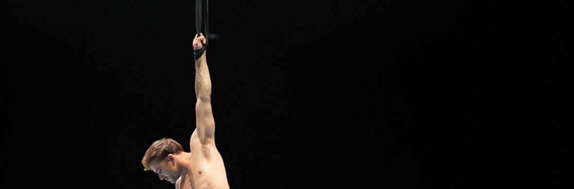 Aerial Straps - Performing Arts Acts - StageLync
