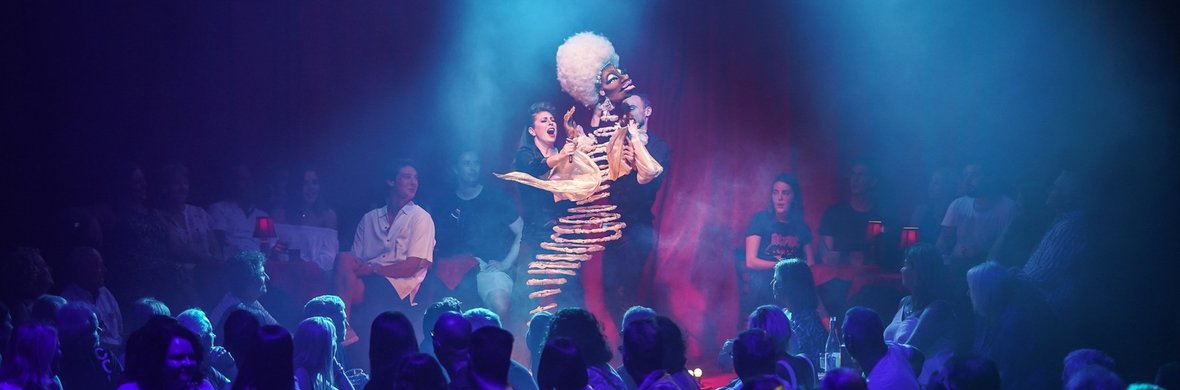 Slinky - Performing Arts Acts - StageLync