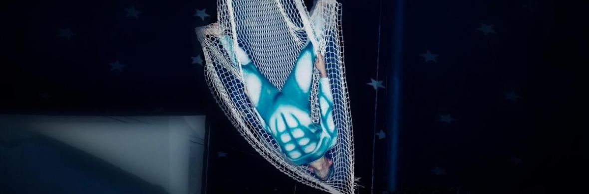 Aerial net (Frozen men) - Performing Arts Acts - StageLync