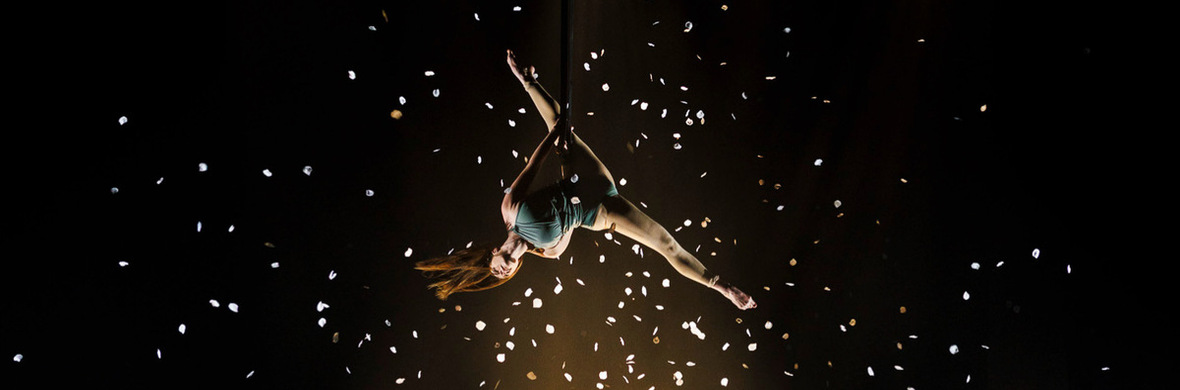 Root and Wings - Performing Arts Acts - StageLync