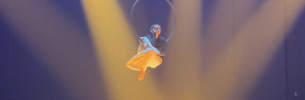 Aerial hoop act - Performing Arts Acts - StageLync