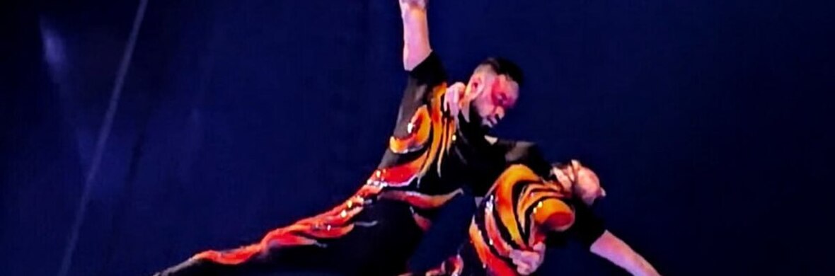 Duo infinity (Duo aerial straps) - Performing Arts Acts - StageLync