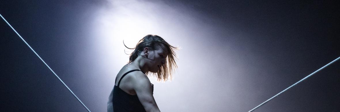 LEXICON - Performing Arts Shows - StageLync