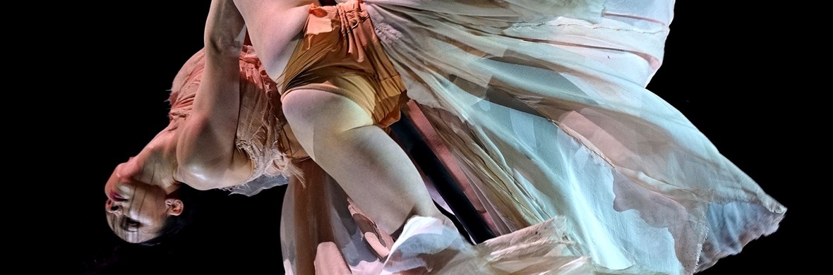 Aerial pole- - Performing Arts Acts - StageLync