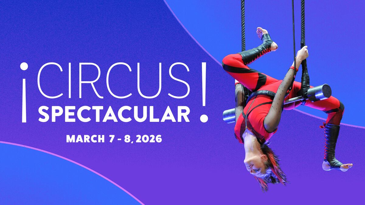 The Circus Spectacular - Performing Arts Events - StageLync