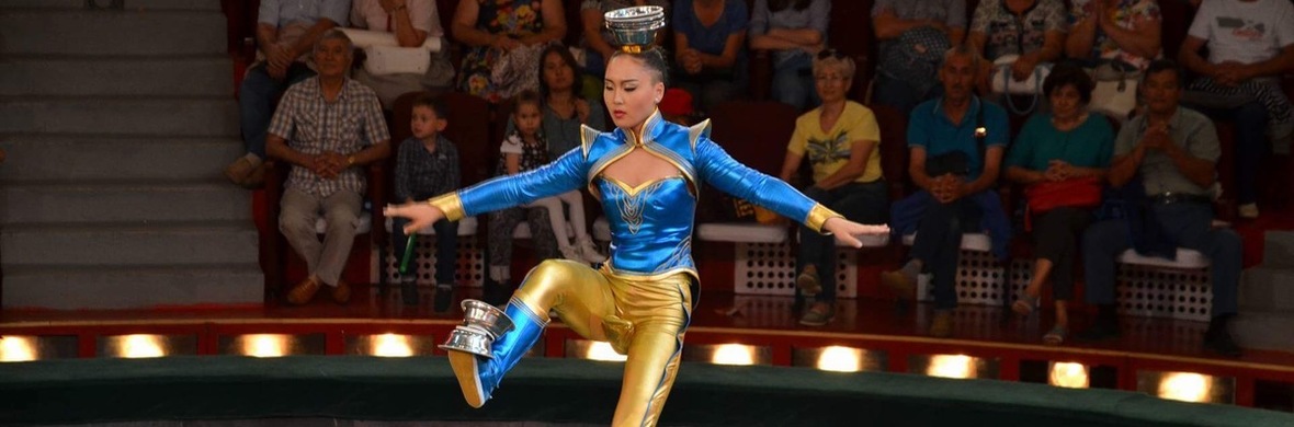Kicking bowls to head on unicycle - Performing Arts Acts - StageLync