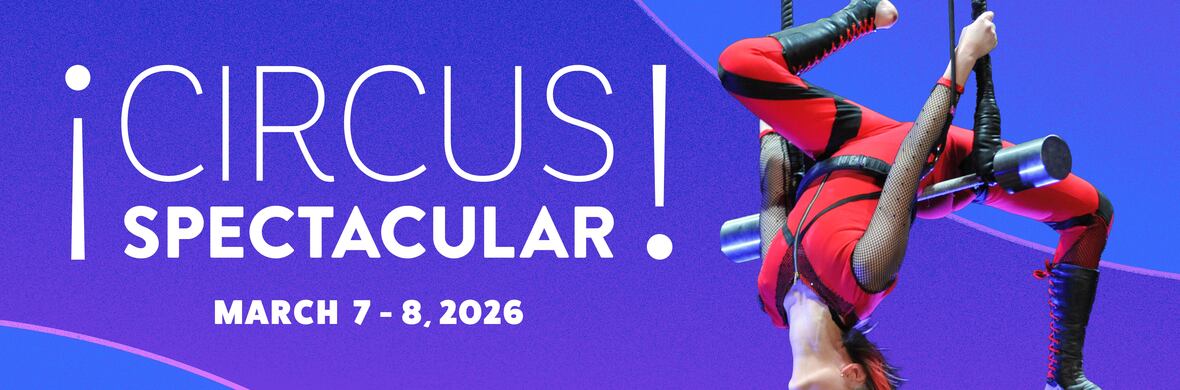 The Circus Spectacular - Performing Arts Shows - StageLync