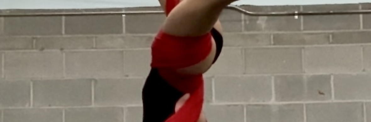 Aerial Silks Performance  - Performing Arts Acts - StageLync