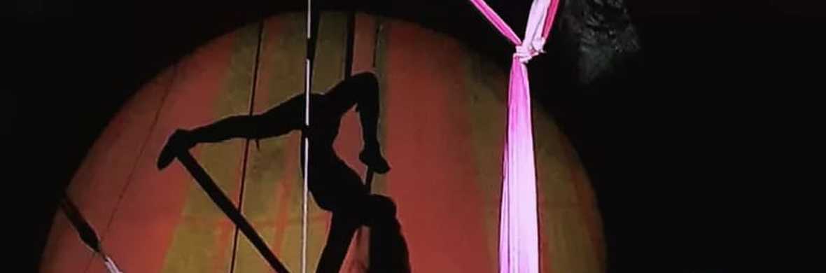 Lucy Aerial Silks - Performing Arts Acts - StageLync