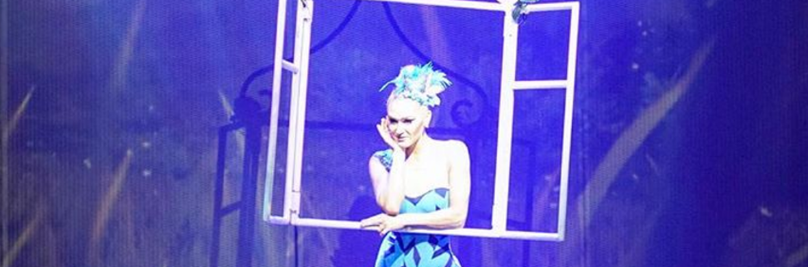 Aerial Window - Performing Arts Acts - StageLync