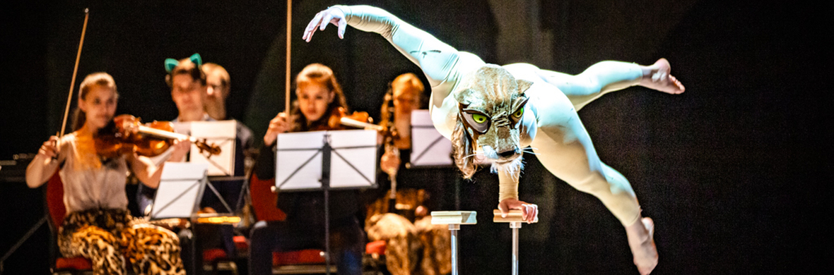 Carnival of the Animals - Performing Arts Shows - StageLync