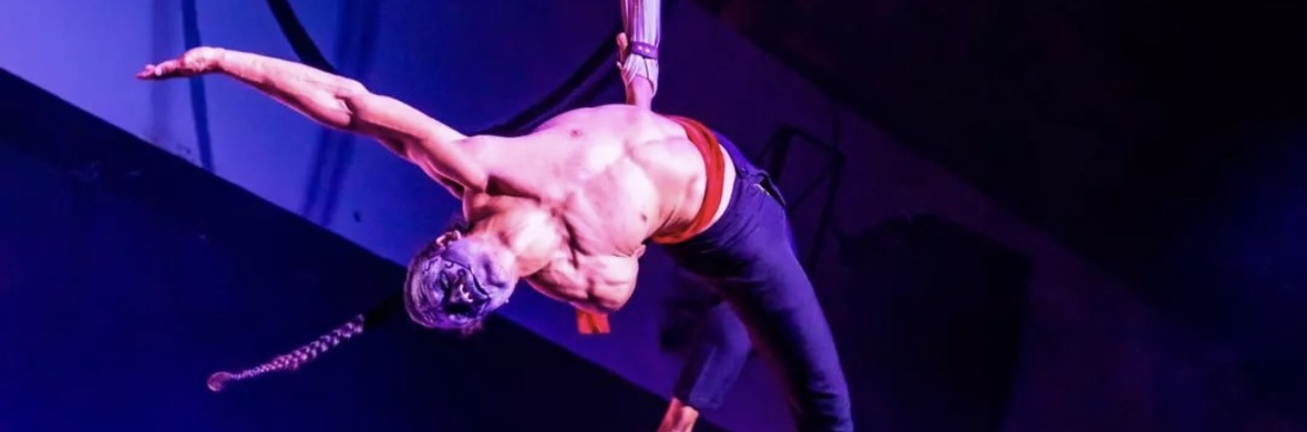 Aerial Straps  - Circus Acts - CircusTalk