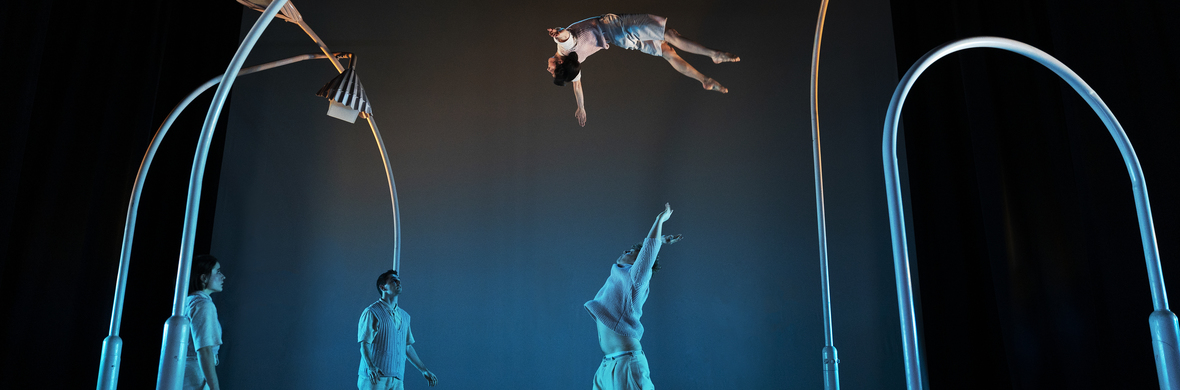 Moln - Performing Arts Shows - StageLync