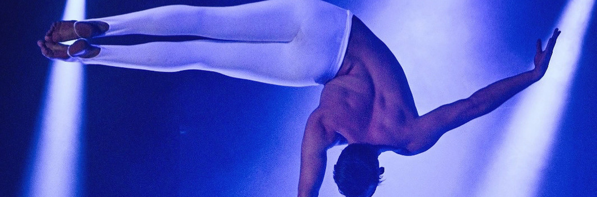 Handstandequilibristik Act - Performing Arts Acts - StageLync