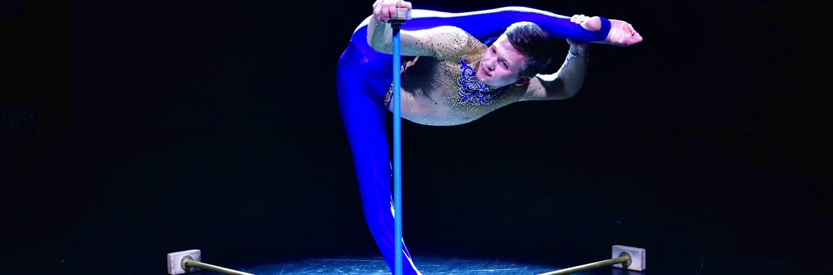 Handbalancing - Performing Arts Acts - StageLync