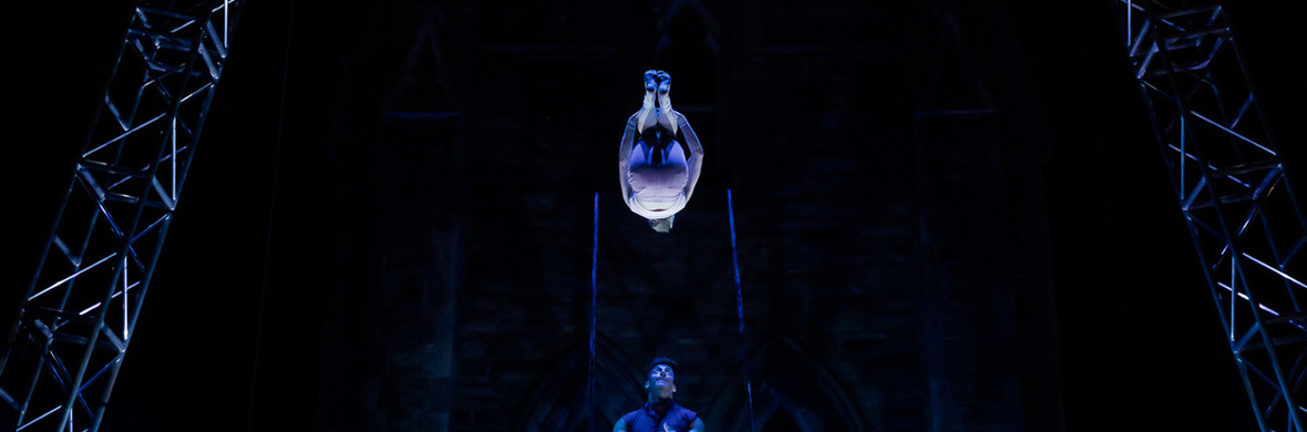 Voladora Russian cradle - Performing Arts Acts - StageLync