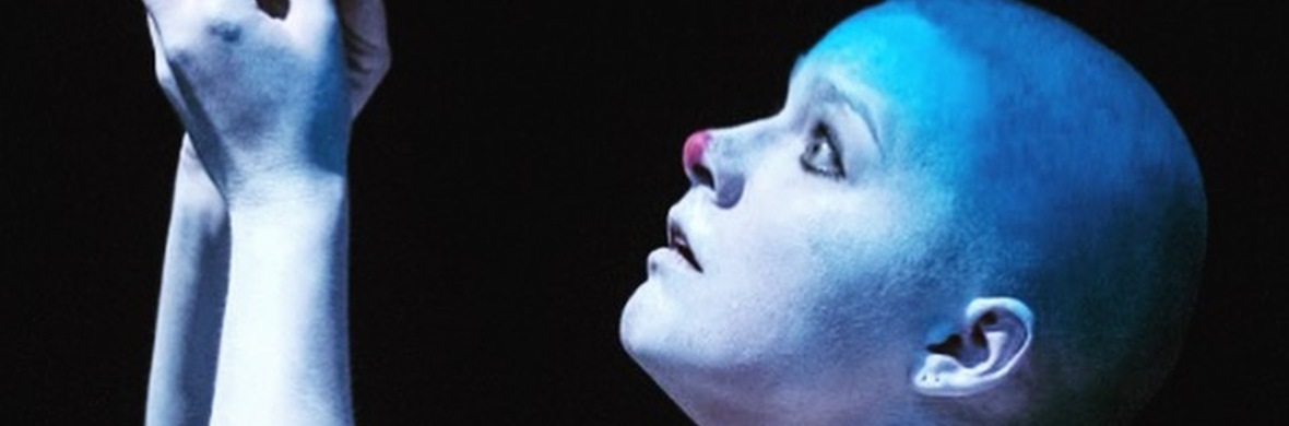 Shame with Yoj  - Performing Arts Shows - StageLync