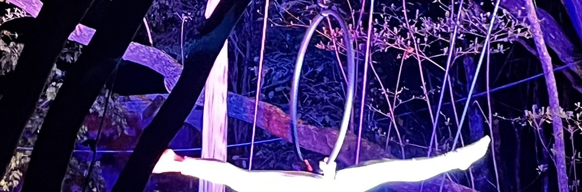 A floresta encantada - Performing Arts Shows - StageLync