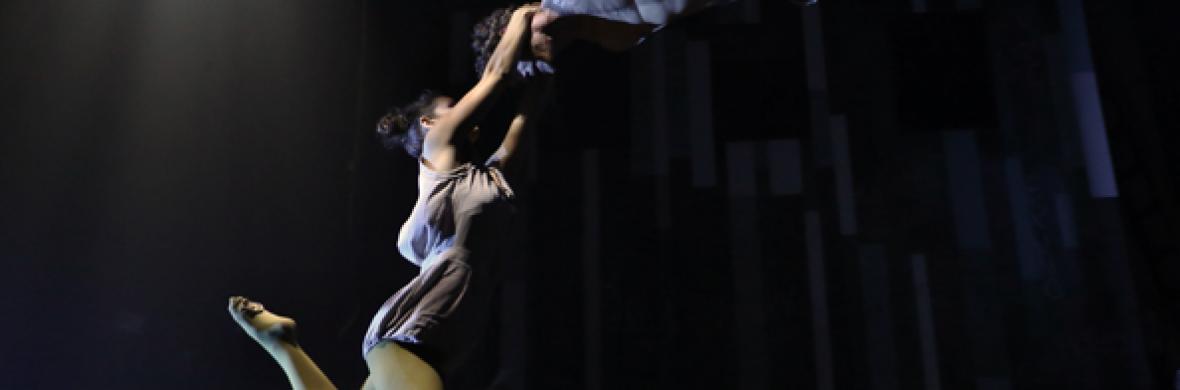 Attrape-moi - Performing Arts Shows - StageLync