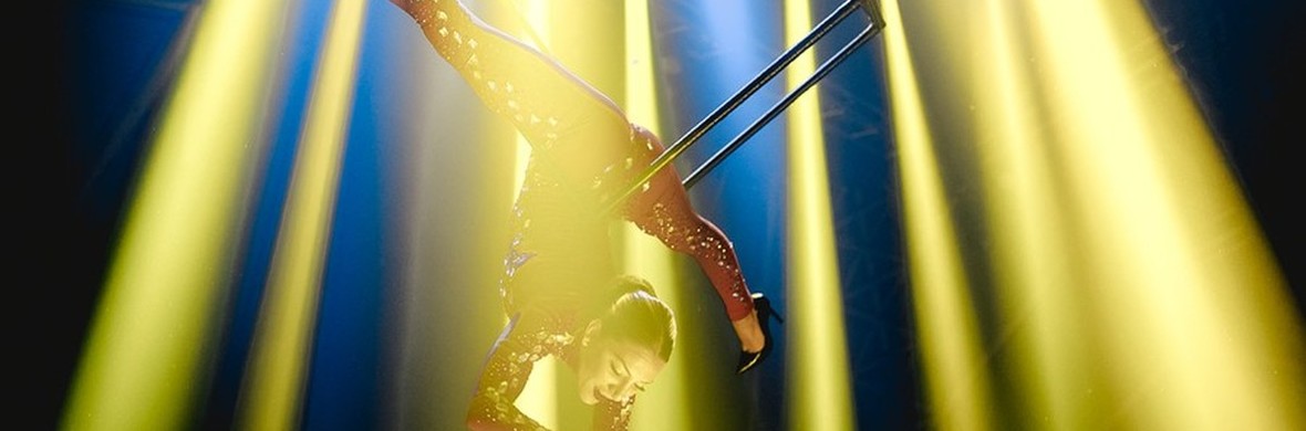 Aerialist & Ground Acrobat Melina  - Performing Arts Acts - StageLync