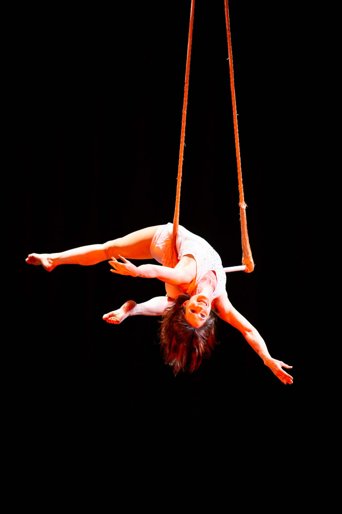 Circus Spectacular - Virtual Streaming - Performing Arts Events - StageLync