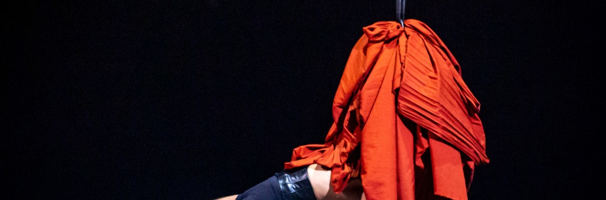 GENÈSE Aerial Silks - Performing Arts Acts - StageLync