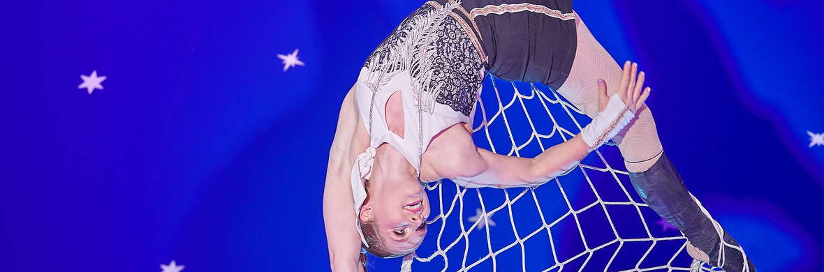 VerticalDancingNet - Performing Arts Acts - StageLync