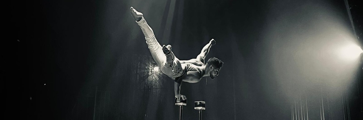 Vlad__Stand  - Performing Arts Acts - StageLync