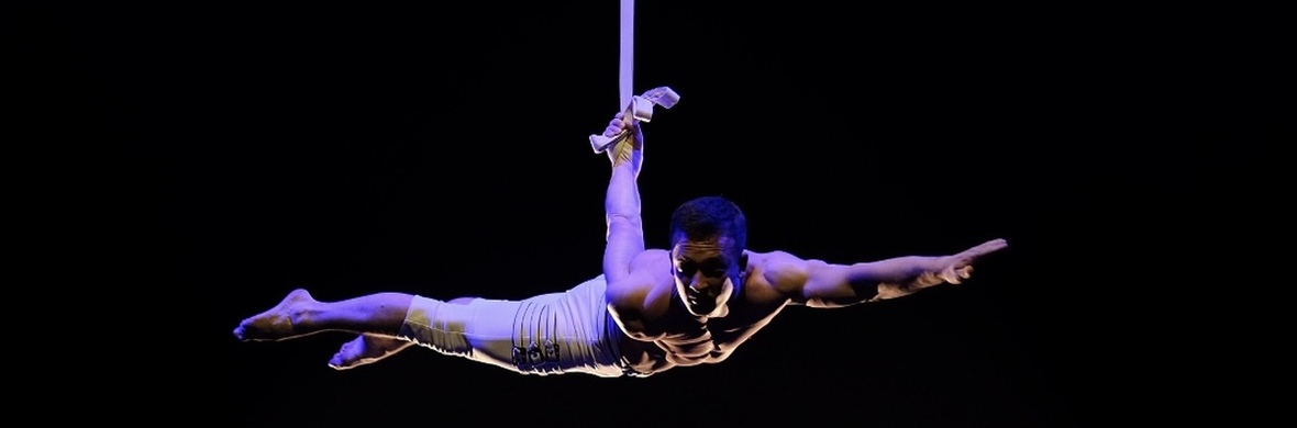Aerial Straps  - Performing Arts Acts - StageLync