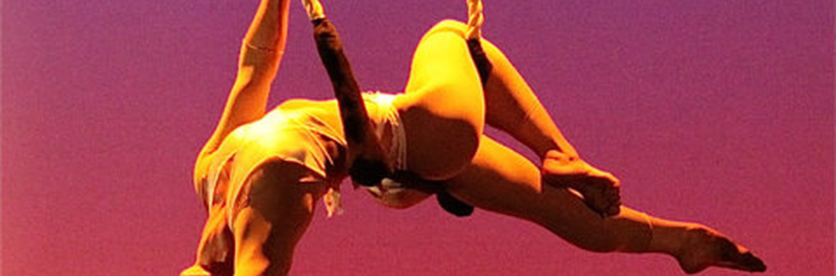 LedZAerial - Performing Arts Shows - StageLync