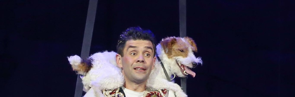 Comedy Flying dog  - Performing Arts Acts - StageLync