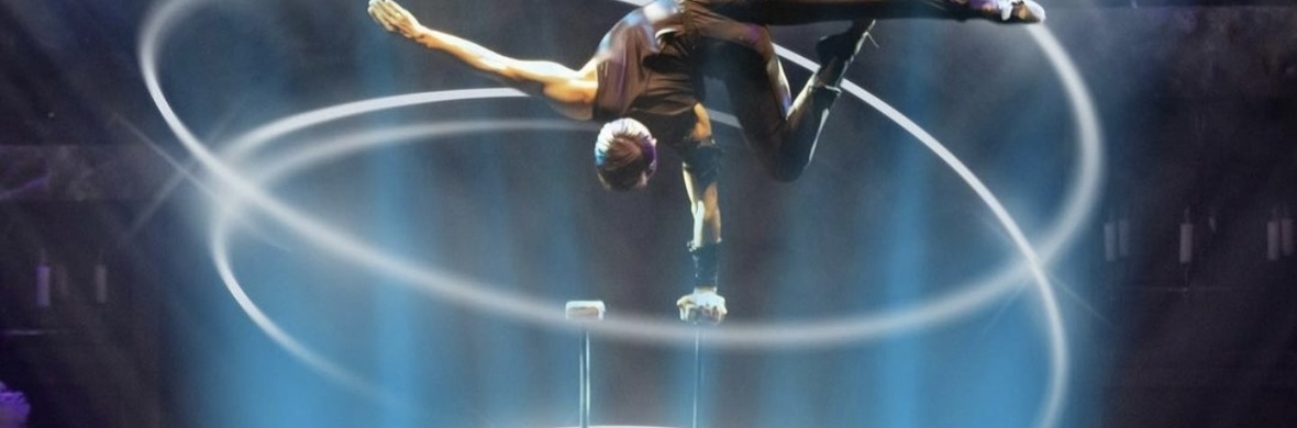 Contortion, Hand Balance, Aerial Straps - Performing Arts Acts - StageLync
