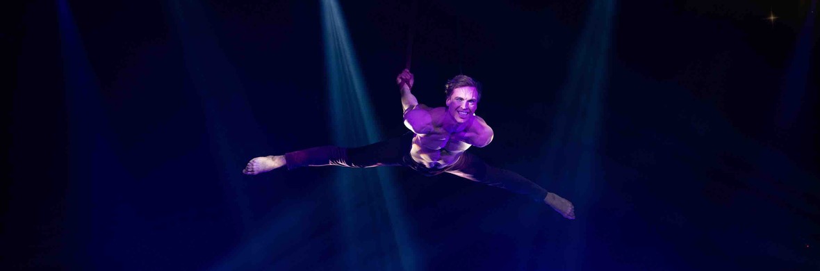 Aerial Straps - Performing Arts Acts - StageLync
