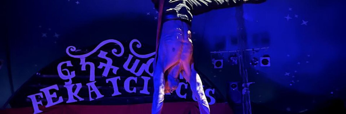 Aerial strap  - Performing Arts Acts - StageLync