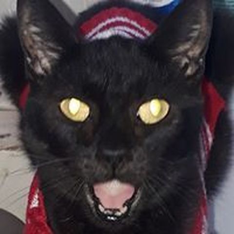 Lara Pinder - Individual - United Kingdom - StageLync