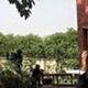 Deepanshu Gupta - Individual - India - StageLync