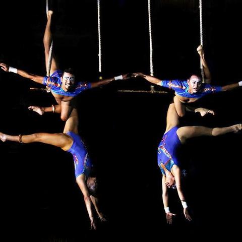 Danii Tavares - Individual - Mexico - StageLync