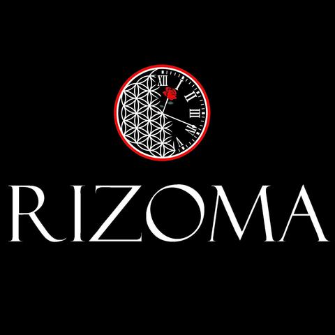 RIZOMA - School - Ukraine - StageLync