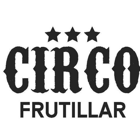 Circo Frutillar - School - Chile - StageLync