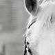 Kate Wajda - Individual - United States - StageLync